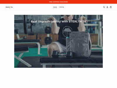 smartitec.com snapshot