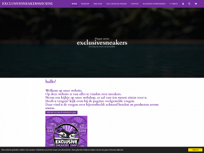 exclusivesneakersshop.nl snapshot