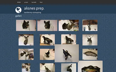 aksnesprep.com snapshot
