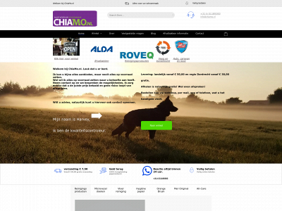 chiamo.nl snapshot