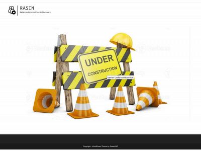 rasin.info snapshot