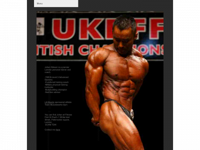 johan-pt.co.uk snapshot