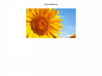 2terrazas.com snapshot