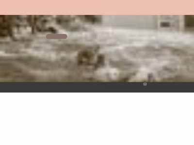 buneskaninstall.no snapshot