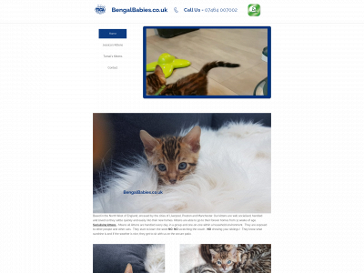 bengalbabies.co.uk snapshot