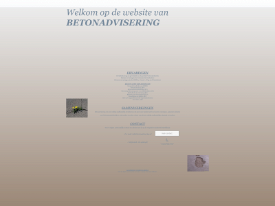 betonadvisering.nl snapshot
