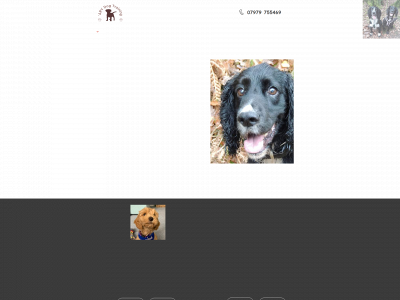 arydogtraining.co.uk snapshot