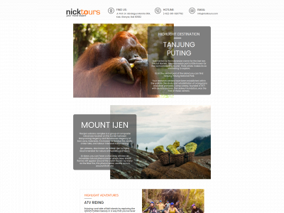 nicktours.com snapshot