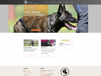 rhh.se snapshot