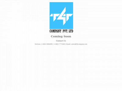 t4tcompany.com snapshot