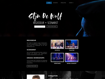 stijndewolf.be snapshot