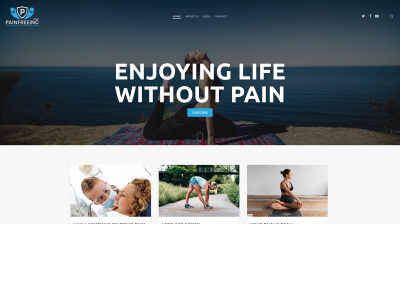 painfreeinc.com snapshot