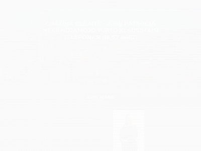 parduoknt.lt snapshot