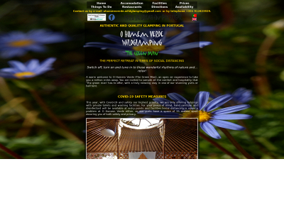 ohomemverde.com snapshot