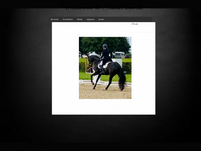 staldravn.dk snapshot