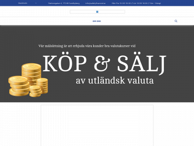 safetyfinancial.se snapshot