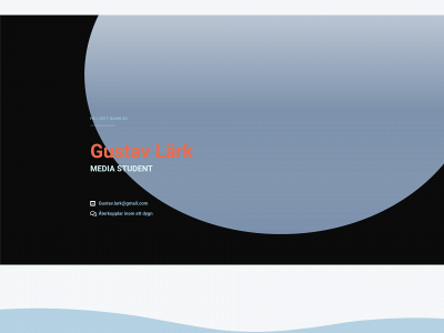 larkfolio.se snapshot