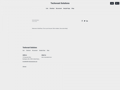 techovantsolutions.co.ke snapshot