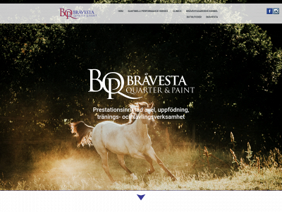 bravesta.com snapshot