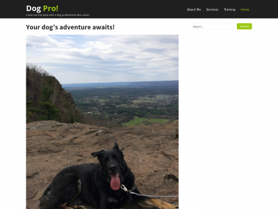 pauldogpro.com snapshot