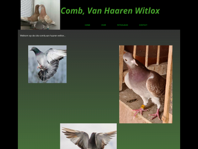 vanhaarenwitlox.nl snapshot