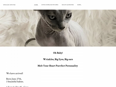 spoiledsphynx.weebly.com snapshot