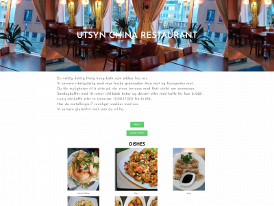 utsynchina.no snapshot