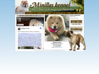 minillas.com snapshot