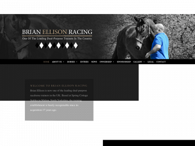 brianellisonracing.co.uk snapshot