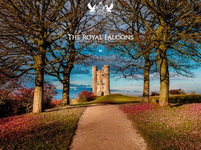 theroyalfalcons.com snapshot