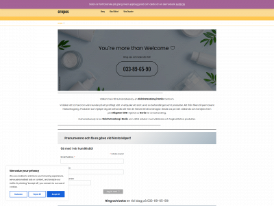 gulnarasbeauty.se snapshot
