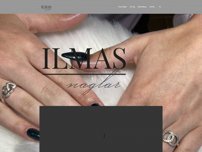 ilmasnaglar.se snapshot