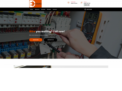 dunamiselectricinc.com snapshot
