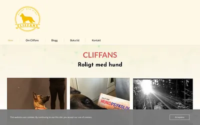 hundpsykolog.com snapshot