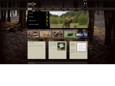 vaicia.lt snapshot