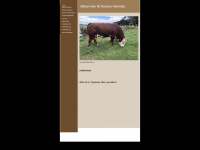 hamrahereford.se snapshot