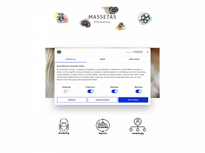 www.massetas.com snapshot