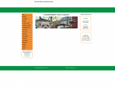 saigit.se snapshot
