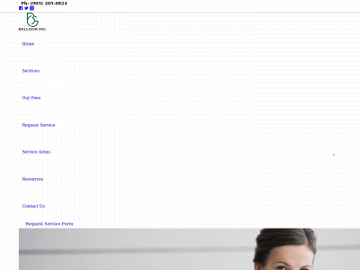 bellgor.com snapshot