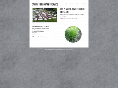 carinastradgard.se snapshot