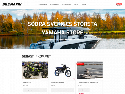 bilmarin.com snapshot