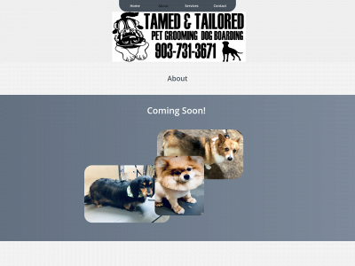 tamedandtailored.com snapshot