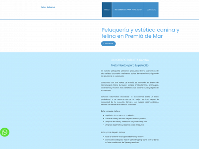 www.pelutspremia.es snapshot