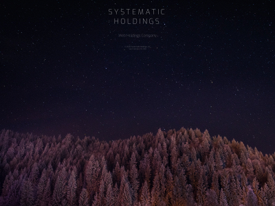 systematicholdings.com snapshot