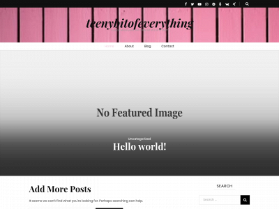 teenybitofeverything.com snapshot
