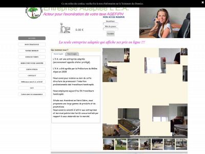 entrepriseadapteelea.com snapshot