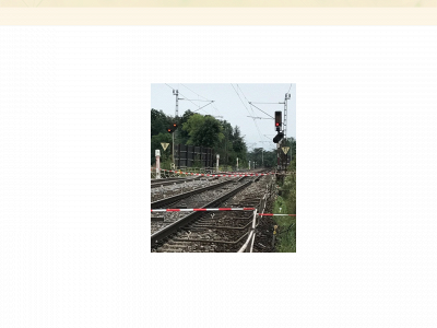 ledwina.net snapshot