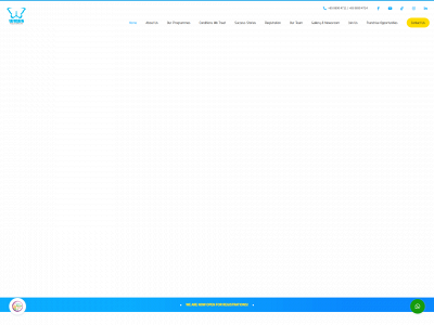 wingstherapycenter.com snapshot