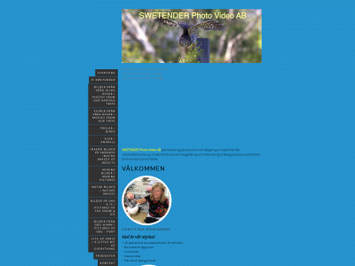 swetender.se snapshot