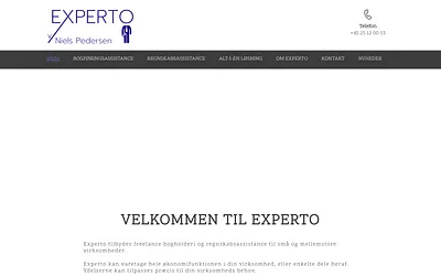 experto.dk snapshot